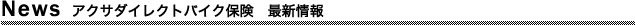 �A�N�T�_�C���N�g�o�C�N�ی��@�ŐV���