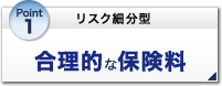 Point1 リスク細分型 通信販売で合理的な保険料