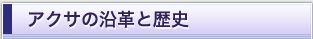 �A�N�T�̉��v�Ɨ��j