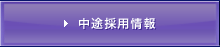 ���r�̗p���