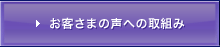 ���q�l�̐��ւ̎�g��