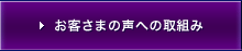 ���q�l�̐��ւ̎�g��