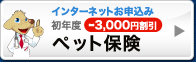 �C���^�[�l�b�g���\���� ���N�x3,000�~���� �y�b�g�ی�