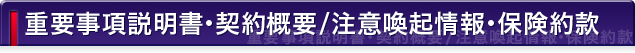 重要事項説明書・契約概要/注意喚起情報・保険約款