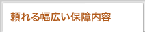 ����镝�L���ۏ���e