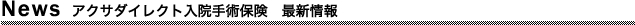 �A�N�T�_�C���N�g���@��p�ی��@�ŐV���