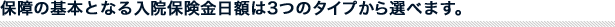 �ۏ�̊�{�ƂȂ���@�ی������z��3�̃^�C�v����I�ׂ܂��B