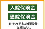 ���@�ی����E�ʉ@�ی��������ꂼ��̓��������x�����B
