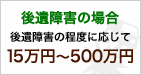 ����Q�̏ꍇ ����Q�̒��x�ɉ����� 15���~�`500���~