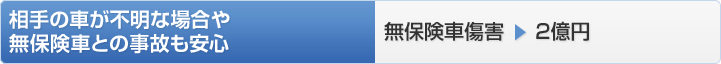 相手の車が不明な場合えや無保険車との事故も安心 無保険車障害→2億円