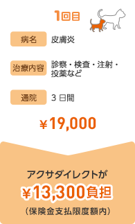 1回目 病名 皮膚炎 治療内容 診療・検査・注射・投薬など 通院 3日間 ¥19,000 クサダイレクトが¥13,300負担(保険金支払限度額内)