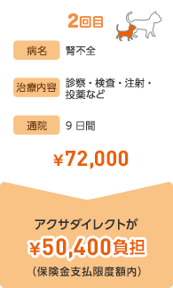2回目 病名 腎不全 治療内容 診療・検査・注射・投薬など 通院 9日間 ¥72,000 アクサダイレクトが¥50,400負担(保険金支払限度額内)