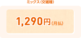 ミックス(交雑種) ¥1,490(月払)