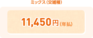 ミックス(交雑種) ¥15,240(年払)