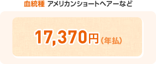 血統種 アメリカンショートヘアーなど ¥20,280(年払)