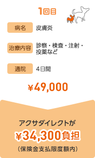 1回目 病名 皮膚炎 治療内容 診療・検査・注射・投薬など 通院 4日間 ¥49,000 アクサダイレクトが¥34,300負担(保険金支払限度額内)