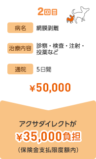 2回目 病名 網膜剥離 治療内容 診療・検査・注射・投薬など 通院 5日間 ¥50,000 アクサダイレクトが¥35,000負担(保険金支払限度額内)