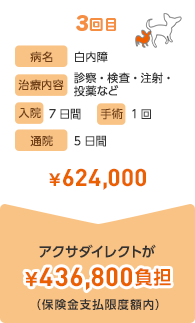 3回目 病名 白内障 治療内容 診療・検査・注射・投薬など 入院 7日間 手術 1回 通院 5日間 ¥624,000 アクサダイレクトが¥436,800負担(保険金支払限度額内)