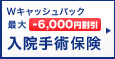 W�L���b�V���o�b�N �ő�-6,000�~���� ���@��p�ی�