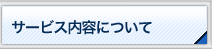 �T�[�r�X���e�ɂ���