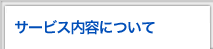 �T�[�r�X���e�ɂ���