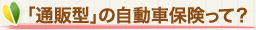 �u�ʔ̌^�v�̎����ԕی����āH