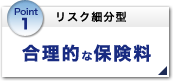 Point1 リスク細分型 通信販売で合理的な保険料