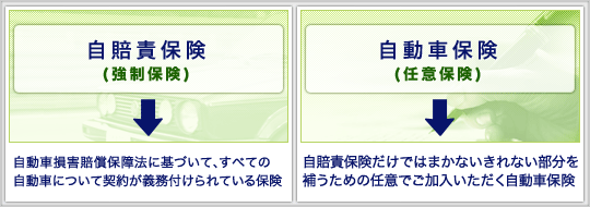 自賠責保険(強制保険)自動車保険(任意保険)