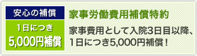 安心の補償 1日につき5,000円補償 家事労働費用補償特約 家事費用として入院3日目以降、1日につき5,000円補償!
