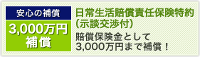 安心の補償 3,000万円補償 日常生活賠償責任保険特約(示談交渉付) 賠償保険金として3,000万円まで補償!
