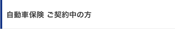 �����ԕی� ���_�񒆂̕�