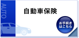 �����ԕی�