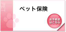 �y�b�g�ی�