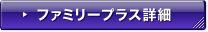 �t�@�~���[�v���X�ڍ�