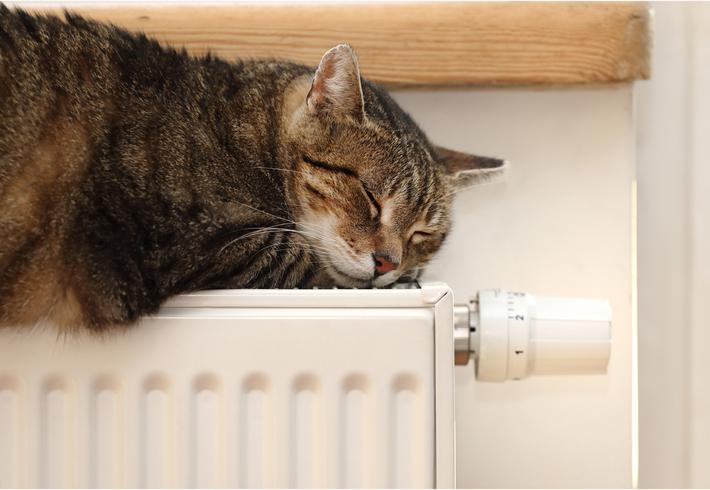ストーブの上などに長時間じっとしていると、低温やけどになる危険性があります。