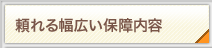 ����镝�L���ۏ���e