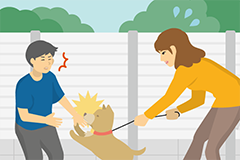 ペットのワンちゃんが、お散歩中、他人を噛んでケガをさせてしまった。