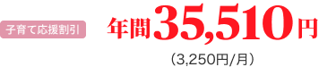 子育て応援割引 年間35,510円(3,250円/月)