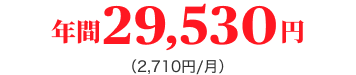 年間29,530円(2,710円/月)