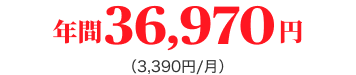 年間36,970円(3,390円/月)
