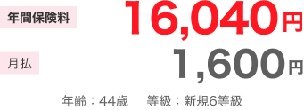 �N�ԕی���16,040�~ ����1,600�~ �N��F44�� �����F�V�K6����