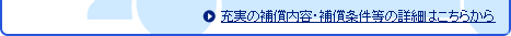 �[���̕⏞���e�E�⏞�������̏ڍׂ͂����炩��
