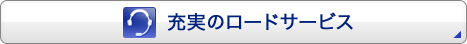 �[���̃A�V�X�^���X�T�[�r�X
