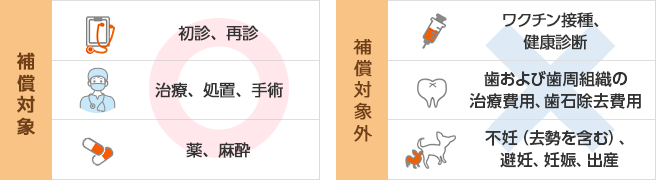 補償対象：初診、再診、治療、処置、手術、薬、麻酔　補償対象外：ワクチン接種、健康診断、歯および歯周組織の治療費用、歯石除去費用、不妊（去勢を含む）、避妊、妊娠、出産