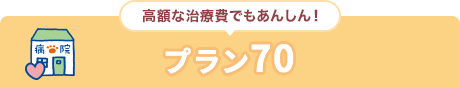 高額な治療費でもあんしん！ プラン70