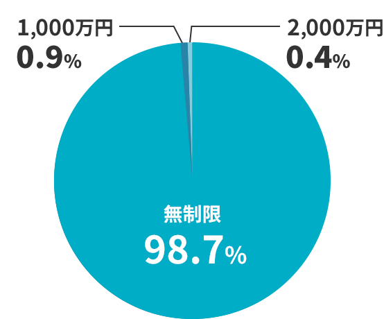 データで見る加入率　無制限98.2％　1,000万円1.2％　2,000万円0.6％