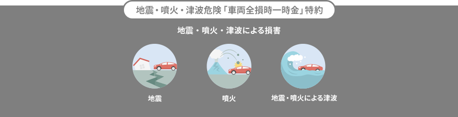 地震・噴火・津波危険「車両全損時一時金」特約