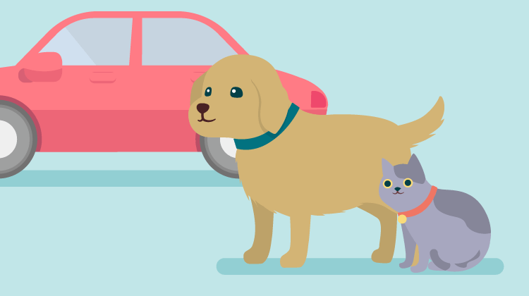 ペットとドライブ！車に乗せるときの注意点や怖がらないコツをご紹介