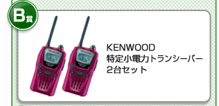 B܁@KENWOOD 菬d̓gV[o[ 2Zbg