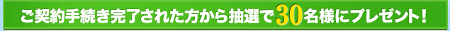 _葱ꂽ璊I30lɃv[gI